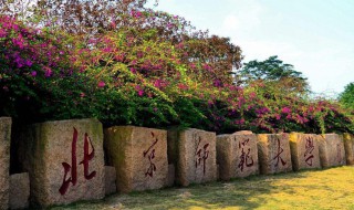 北师大介绍 北师大介绍作文