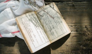 震撼心灵的作文 震撼心灵的作文开头