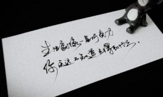 句子摘抄（句子摘抄 经典语录）