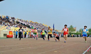 春季运动会作文 春季运动会作文400字