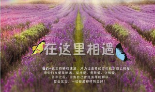 520送给老公的生日祝福语（520送给老公的生日祝福语大全）