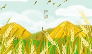 2021年芒种一候是指什么意思 芒种后面的一个节气是什么