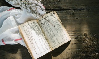 敁敠怎么读(忖度的读音)