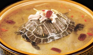 甲鱼汤的做法与功效 甲鱼汤的做法与功效