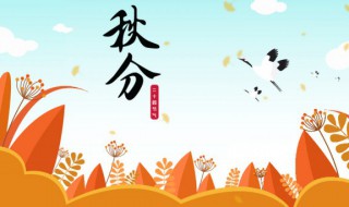 秋分养生知识（秋分的养生和注意事项）