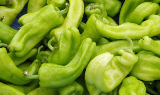 大青椒怎么腌制好吃（大青椒怎么腌制好吃又脆）