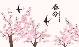 2022年的春分是什么时候 2022年春分是几点几分几秒