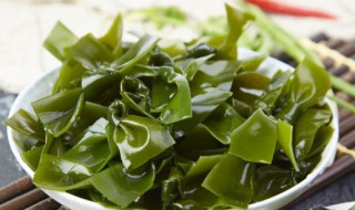 海带泡多久合适（海带泡多久合适食用）