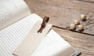 瞬的组词 袍的组词