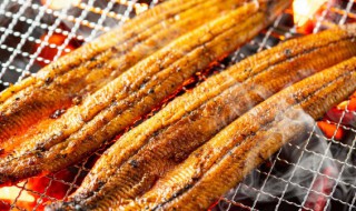 烤鱼吃多好吗 烤鱼吃多了好不好