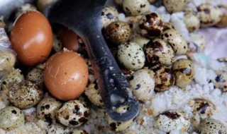 盐焗蛋的家常做法（盐焗蛋的家常做法大全）