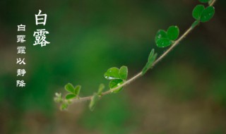 白露的由来及习俗（白露名字的由来简短）