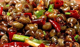 田螺怎么养才不会死 田螺怎么养才养得干净