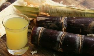 甘蔗和柚子可以一起吃吗 甘蔗和柚子能一起吃吗