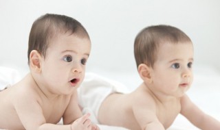 适合属虎女孩子的名字（适合属虎女孩子的名字）