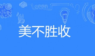 美不胜收造句(美不胜收造句10字左右)