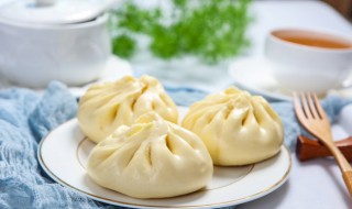 鲜肉包子做法（鲜肉包子做法视频教程）