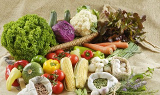 饮食养生的方法（饮食养生的方法有哪几种）