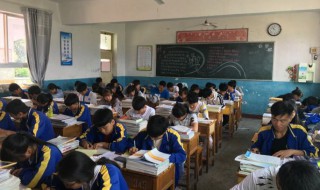 老人与海英文读后感 老人与海英文读后感100字