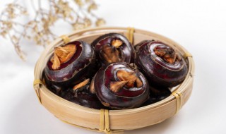 马蹄和凉薯能不能一起吃（马蹄可以一起吃吗）