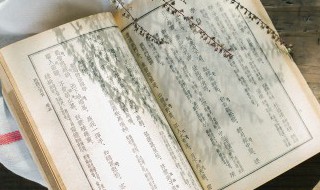 蛄怎么读（蝼蛄怎么读）