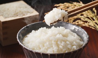 煮饭用冷水还是热水（煮饭用冷水还是热水好）