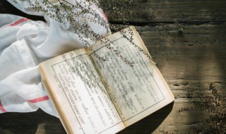 讲究方式方法的名言摘抄（讲究方式方法的名言摘抄怎么写）