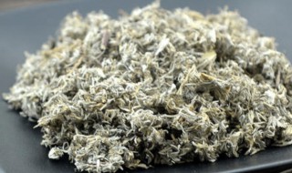 茵陈熬水要煮多久 茵陈专治十种病