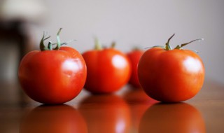 西红柿牛肉做法 西红柿牛肉做法视频教程