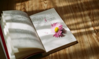 土字怎么组词（超字怎么组词）