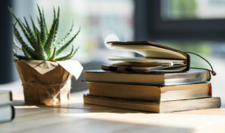 丽字怎么组词 丽字怎么组词是什么