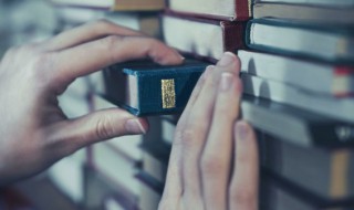 桨怎么组词 桨怎么组词语和拼音