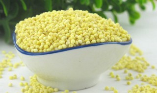 大黄米怎么煮粥好吃 大黄米做法大全家常