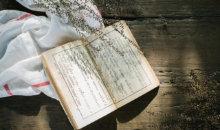 圼字怎么读（圼字怎么读什么意思）