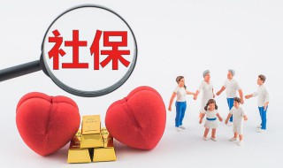 社保查询个人缴费明细怎么查（社保查询个人缴费明细怎么查微信）