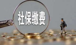 单位怎么给员工交社保（单位怎么给员工交社保怎么缴费）