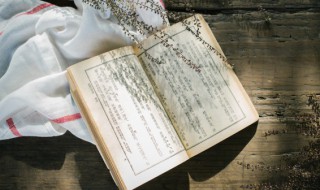 米诺多蒂菲概括 米诺多蒂菲概括20字