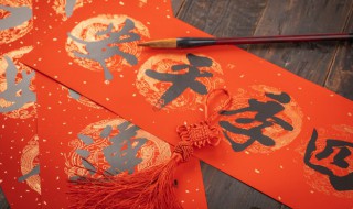 反字怎么组词（反字怎么组词一年级）