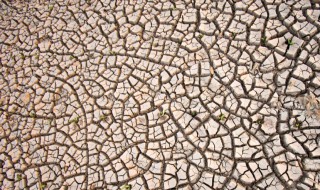 旱怎么组词（匙怎么组词）