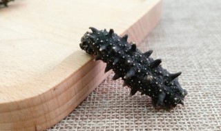 男人吃海参对身体有什么好处 男人吃海参对身体有什么好处吗