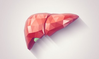 养肝补肾的食物有哪些（养肝补肾的药物有哪些）