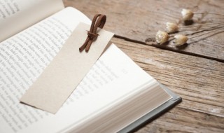 伙伴的近义词（伙伴的近义词是什么词）