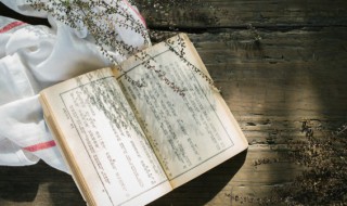 惊叹的近义词 惊叹的近义词和反义词