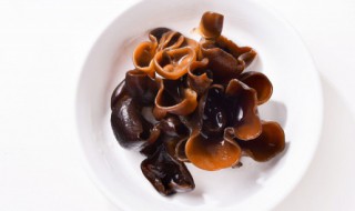 凉拌黑木耳怎么做（凉拌黑木耳怎么做好吃窍门）