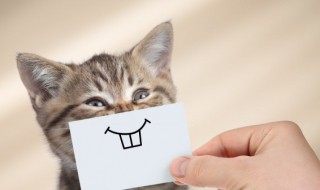 搞笑的造句有哪些(搞笑的造句有哪些一年级)