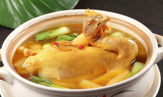 母鸡怎么炖好吃 土老母鸡怎么炖好吃