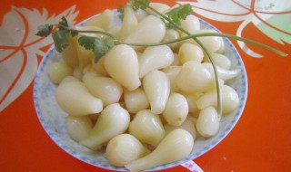 乔头怎么腌好吃 乔头淹制