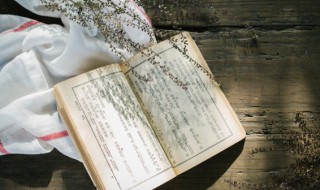 饭菜好吃怎么形容（饭菜好吃怎么形容一年级的句子）