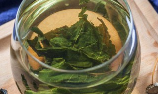 女性喝桑叶茶的好处和坏处（女性喝桑叶茶的好处和坏处桑叶茶啥时候喝最好）