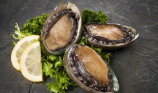 吃海参鲍鱼有什么好处 吃一个海参相当于吃了什么